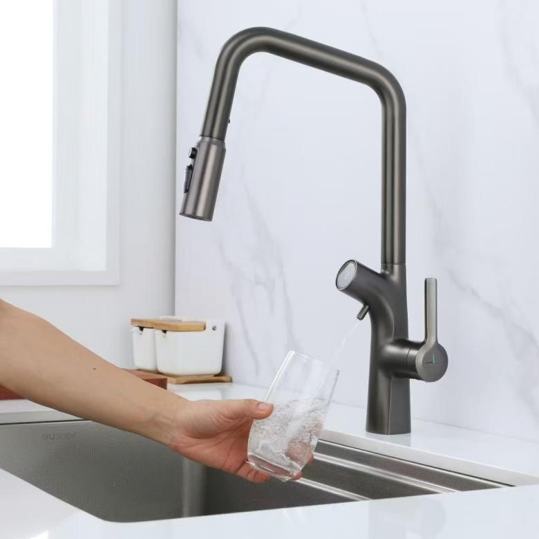 ຈໍສະແດງຜົນດິຈິຕອລດຶງອອກ Faucet ພ້ອມເຄື່ອງກອງນໍ້າໃນຕົວ ຈໍສະແດງຜົນດິຈິຕອລດຶງອອກ Faucet ພ້ອມເຄື່ອງກອງນໍ້າໃນຕົວ